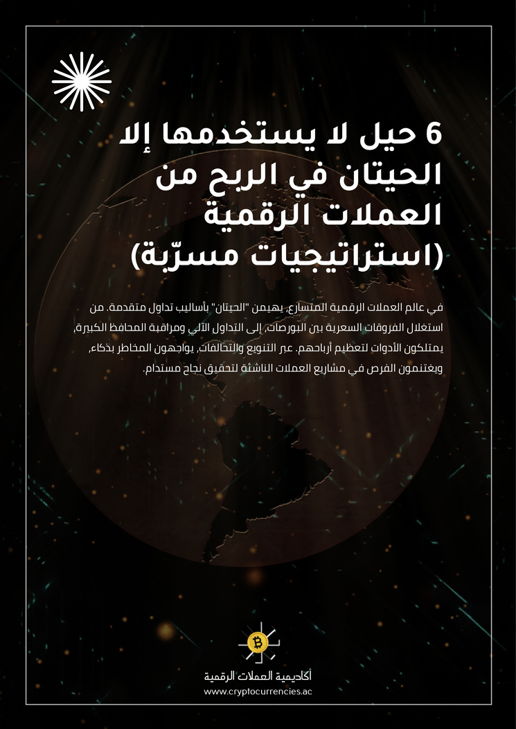 6 حيل لا يستخدمها إلا الحيتان في الربح من العملات الرقمية (استراتيجيات مسرّبة)