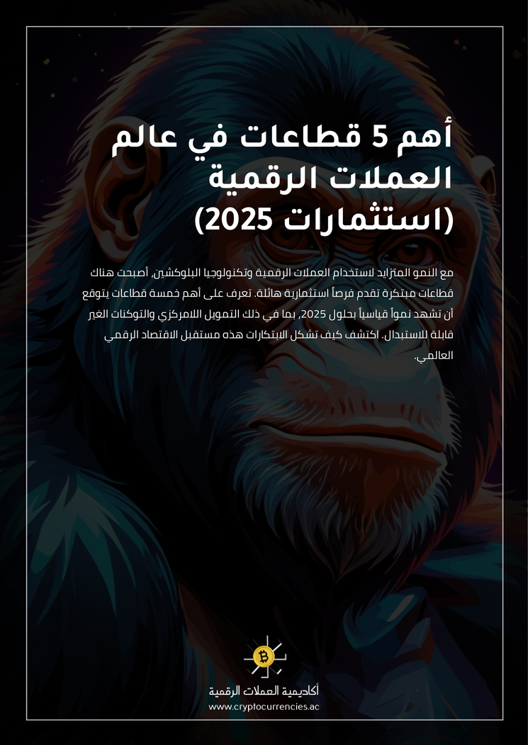 أهم 5 قطاعات في عالم العملات الرقمية (استثمارات 2025)