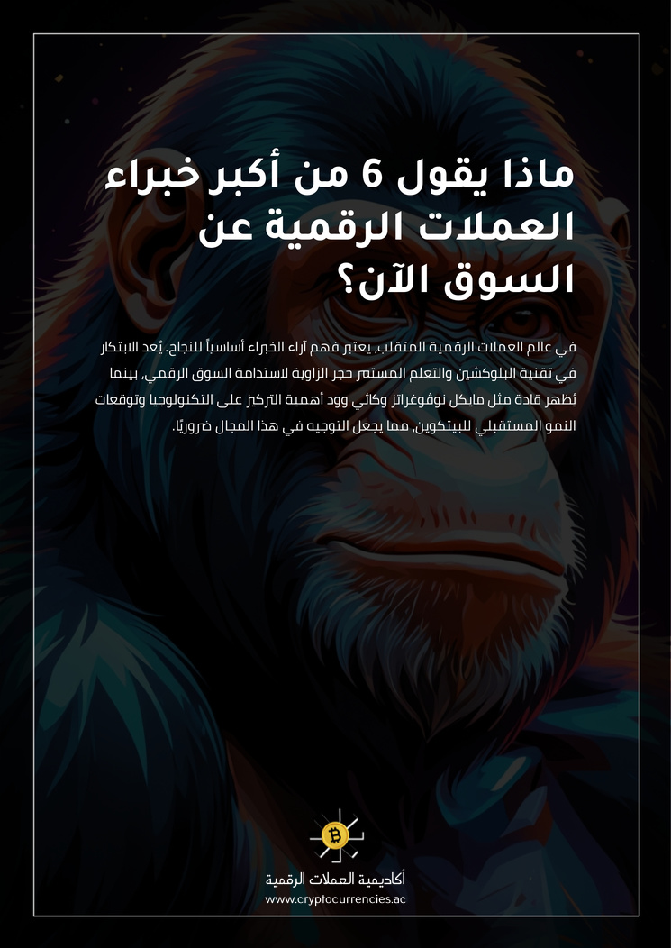 ماذا يقول 6 من أكبر خبراء العملات الرقمية عن السوق الآن؟