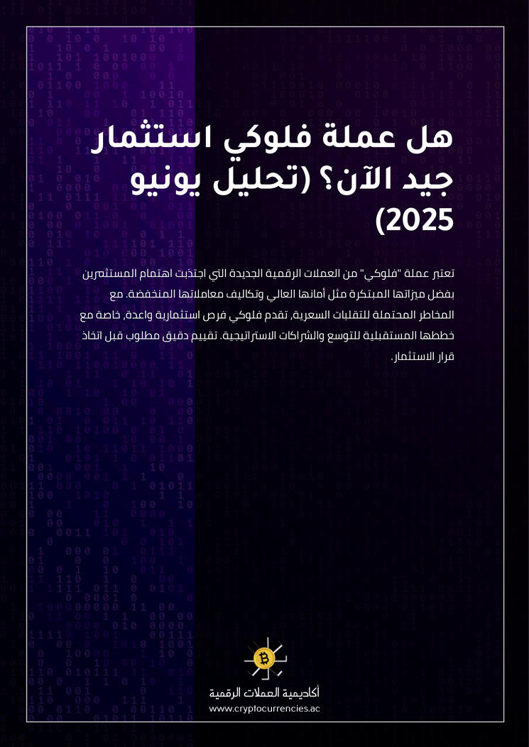 هل عملة فلوكي استثمار جيد الآن؟ (تحليل يونيو 2025)