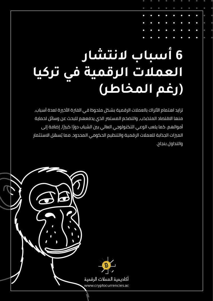 6 أسباب لانتشار العملات الرقمية في تركيا (رغم المخاطر)