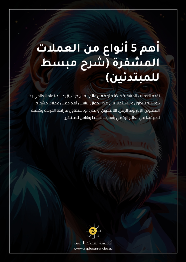 أهم 5 أنواع من العملات المشفرة (شرح مبسط للمبتدئين)