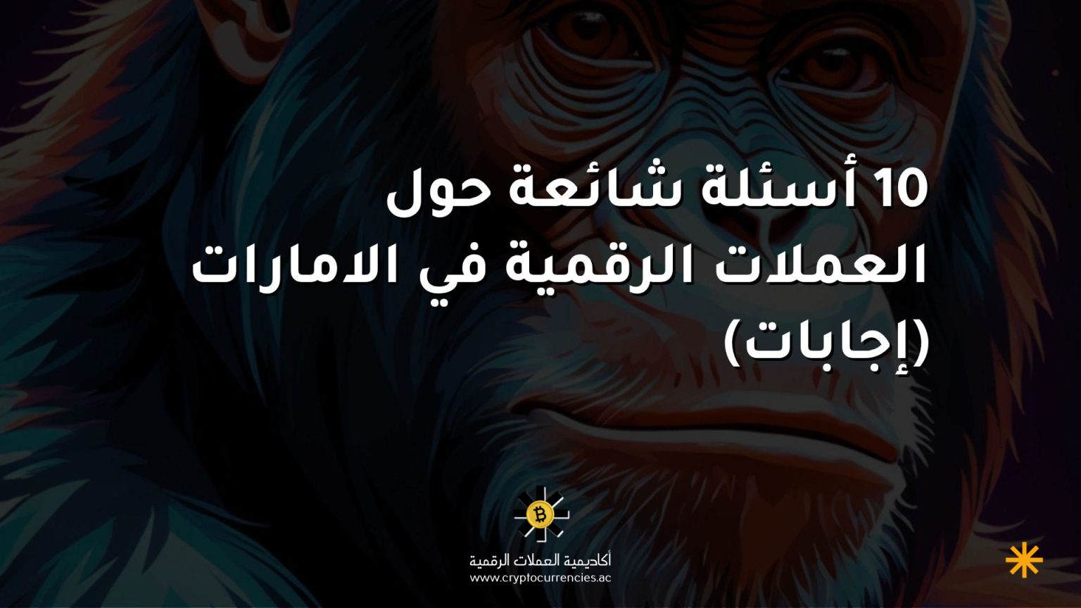 10 أسئلة شائعة حول العملات الرقمية في الامارات (إجابات)