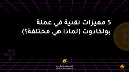 5 مميزات تقنية في عملة بولكادوت (لماذا هي مختلفة؟)