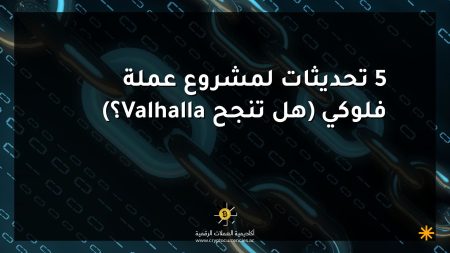 5 تحديثات لمشروع عملة فلوكي (هل تنجح Valhalla؟)