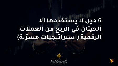 6 حيل لا يستخدمها إلا الحيتان في الربح من العملات الرقمية (استراتيجيات مسرّبة)