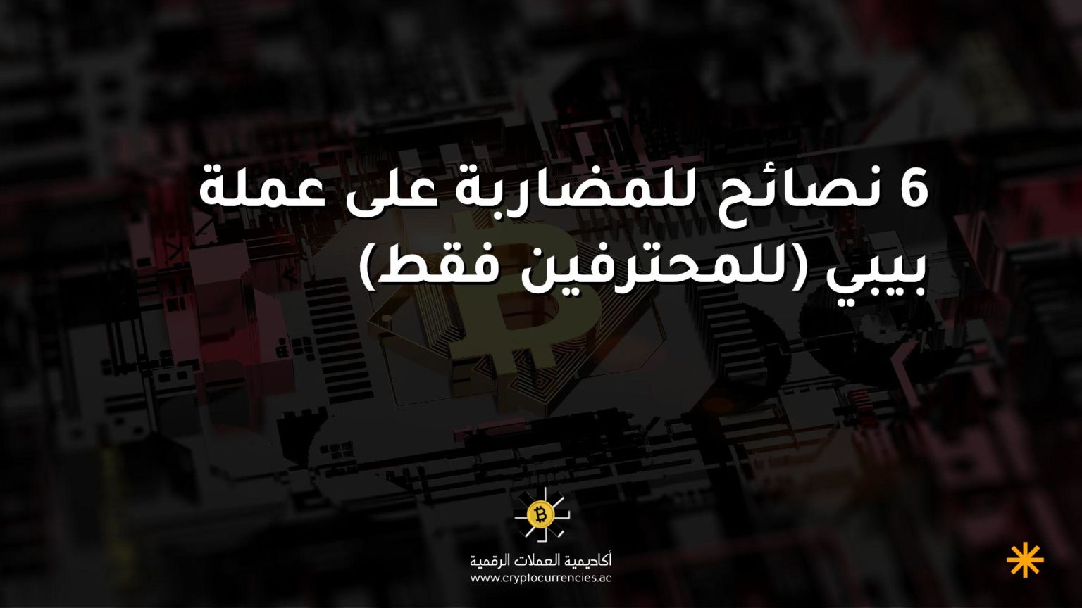 6 نصائح للمضاربة على عملة بيبي (للمحترفين فقط) 6 نصائح للمضاربة على عملة بيبي (للمحترفين فقط)