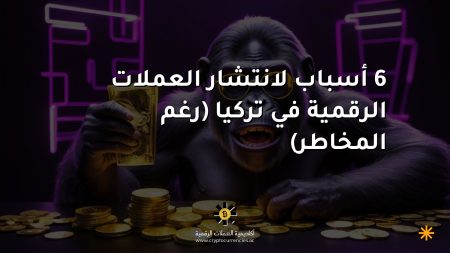 6 أسباب لانتشار العملات الرقمية في تركيا (رغم المخاطر)