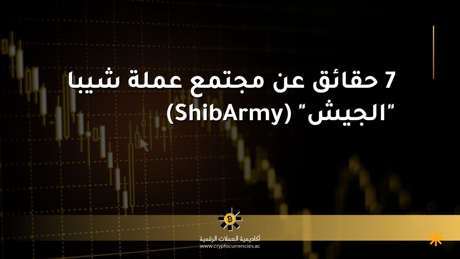 7 حقائق عن مجتمع عملة شيبا "الجيش" (ShibArmy)