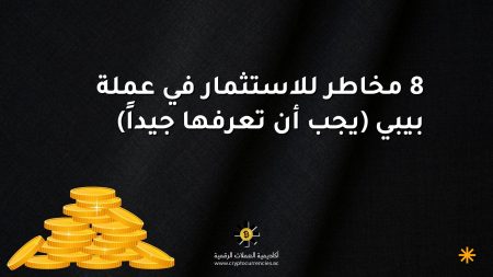 8 مخاطر للاستثمار في عملة بيبي (يجب أن تعرفها جيداً) 8 مخاطر للاستثمار في عملة بيبي (يجب أن تعرفها جيداً)