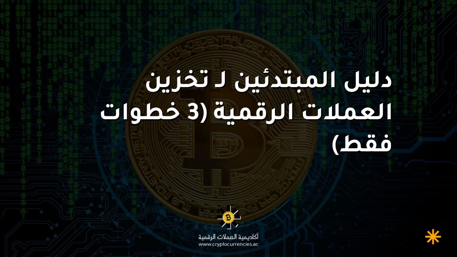 دليل المبتدئين لـ تخزين العملات الرقمية (3 خطوات فقط)