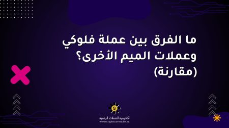 ما الفرق بين عملة فلوكي وعملات الميم الأخرى؟ (مقارنة) ما الفرق بين عملة فلوكي وعملات الميم الأخرى؟ (مقارنة)