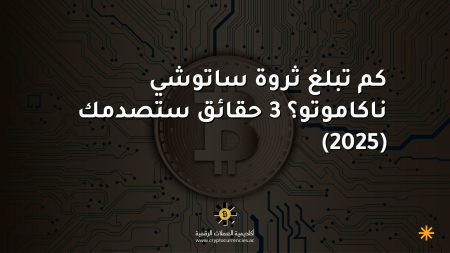 كم تبلغ ثروة ساتوشي ناكاموتو؟ 3 حقائق ستصدمك (2025) كم تبلغ ثروة ساتوشي ناكاموتو؟ 3 حقائق ستصدمك (2025)