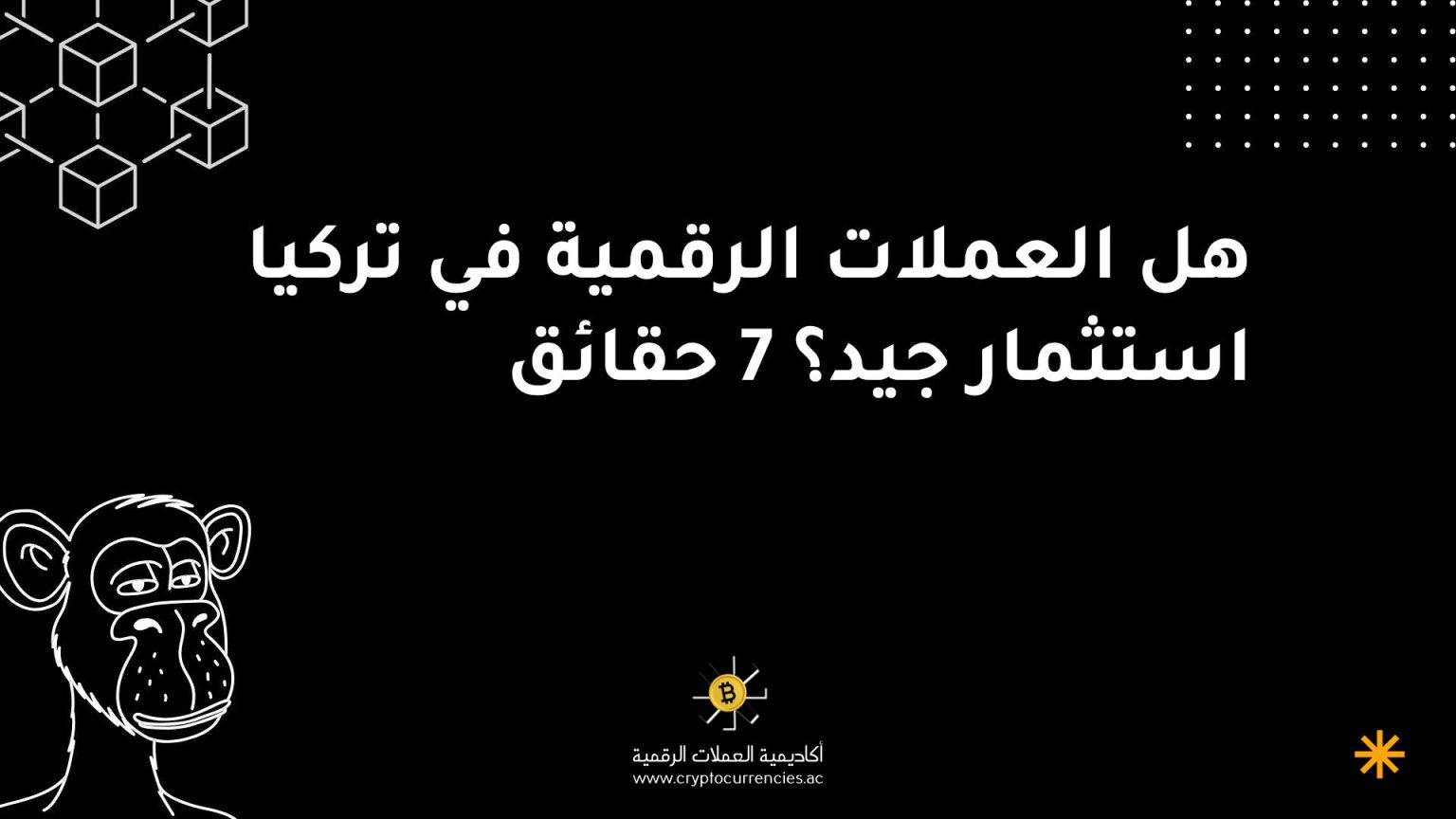 هل العملات الرقمية في تركيا استثمار جيد؟ 7 حقائق