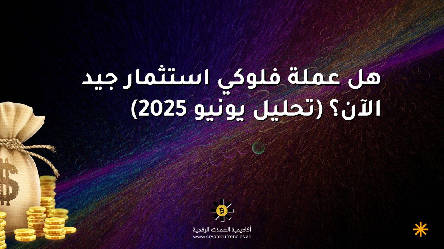 هل عملة فلوكي استثمار جيد الآن؟ (تحليل يونيو 2025) هل عملة فلوكي استثمار جيد الآن؟ (تحليل يونيو 2025)