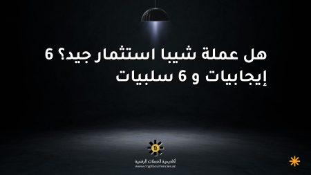هل عملة شيبا استثمار جيد؟ 6 إيجابيات و 6 سلبيات هل عملة شيبا استثمار جيد؟ 6 إيجابيات و 6 سلبيات