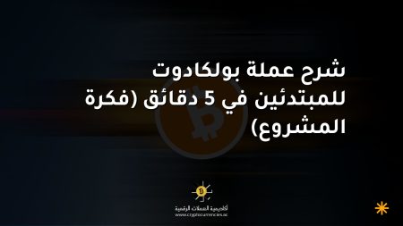 شرح عملة بولكادوت للمبتدئين في 5 دقائق (فكرة المشروع)