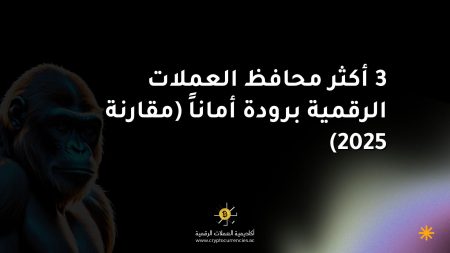 3 أكثر محافظ العملات الرقمية برودة أماناً (مقارنة 2025)