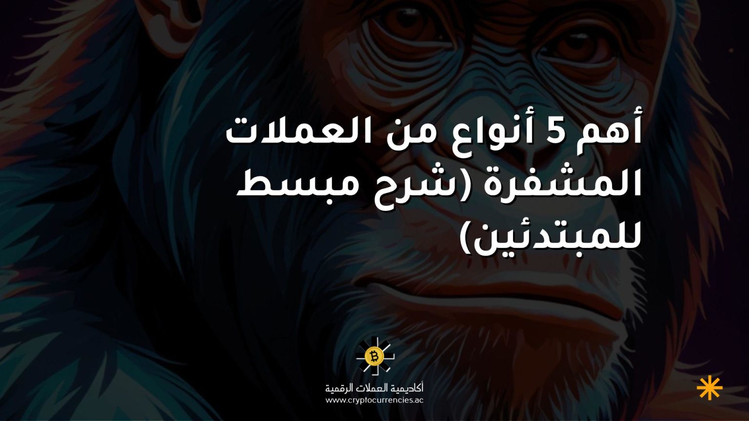 أهم 5 أنواع من العملات المشفرة (شرح مبسط للمبتدئين) أهم 5 أنواع من العملات المشفرة (شرح مبسط للمبتدئين)
