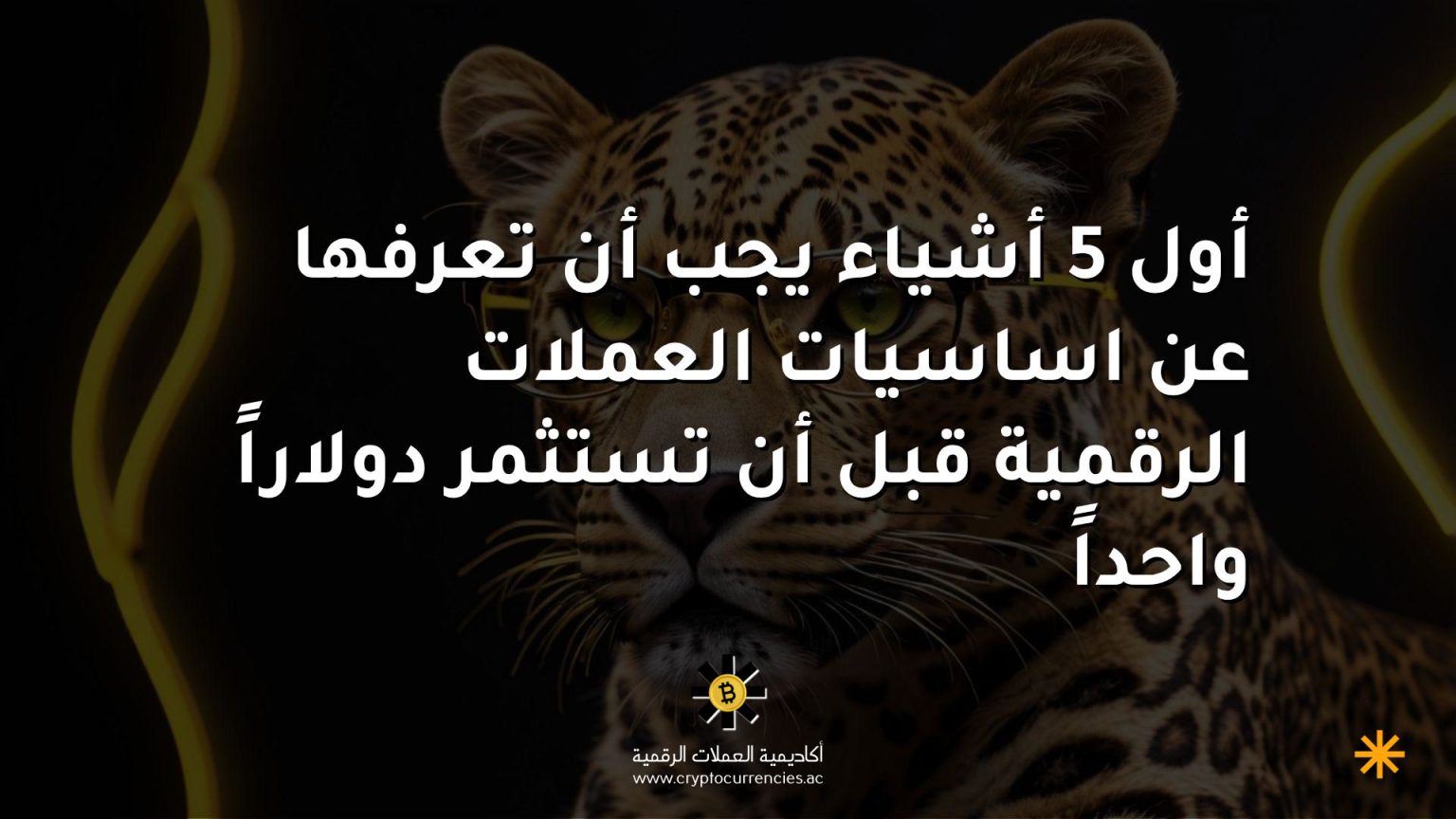 أول 5 أشياء يجب أن تعرفها عن اساسيات العملات الرقمية قبل أن تستثمر دولاراً واحداً