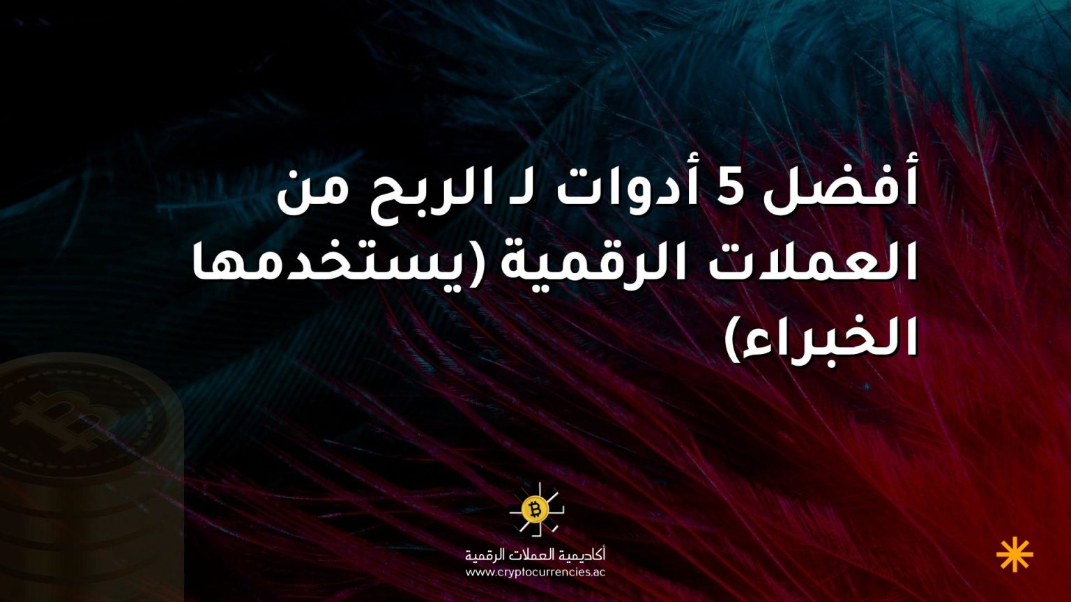 أفضل 5 أدوات لـ الربح من العملات الرقمية (يستخدمها الخبراء) أفضل 5 أدوات لـ الربح من العملات الرقمية (يستخدمها الخبراء)