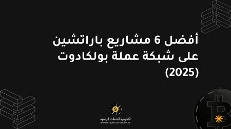 أفضل 6 مشاريع باراتشين على شبكة عملة بولكادوت (2025)