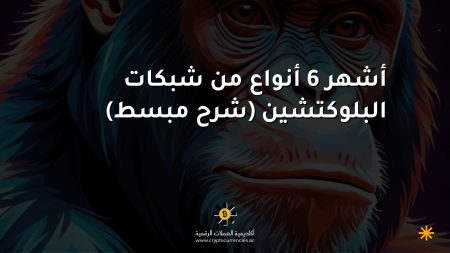 أشهر 6 أنواع من شبكات البلوكتشين (شرح مبسط)