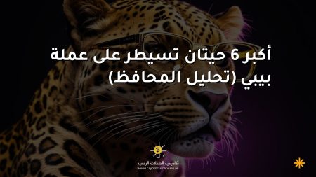 أكبر 6 حيتان تسيطر على عملة بيبي (تحليل المحافظ)