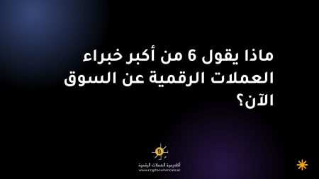 ماذا يقول 6 من أكبر خبراء العملات الرقمية عن السوق الآن؟