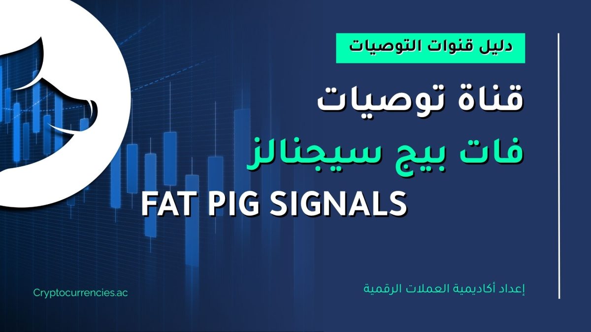 فات بيج سيجنالز Fat Pig Signals